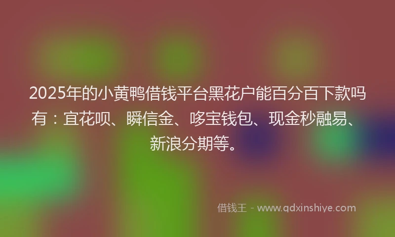 2025年的小黄鸭借钱平台黑花户能百分百下款吗有：宜花呗、瞬信金、哆宝钱包、现金秒融易、新浪分期等。