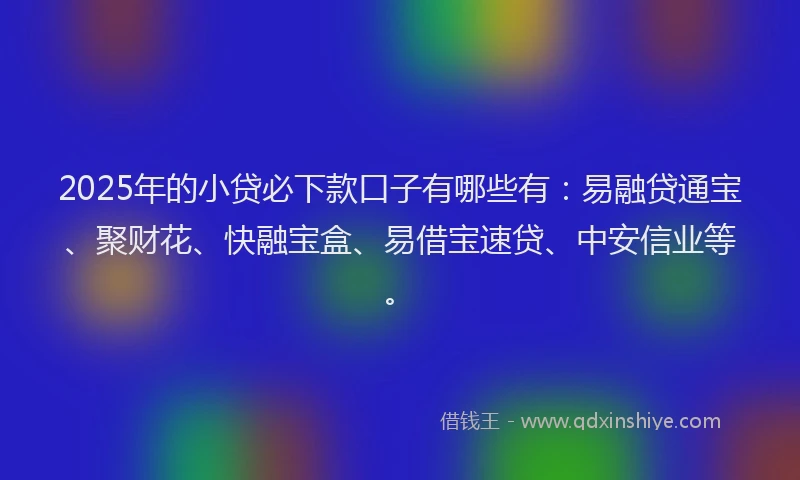 2025年的小贷必下款口子有哪些有：易融贷通宝、聚财花、快融宝盒、易借宝速贷、中安信业等。