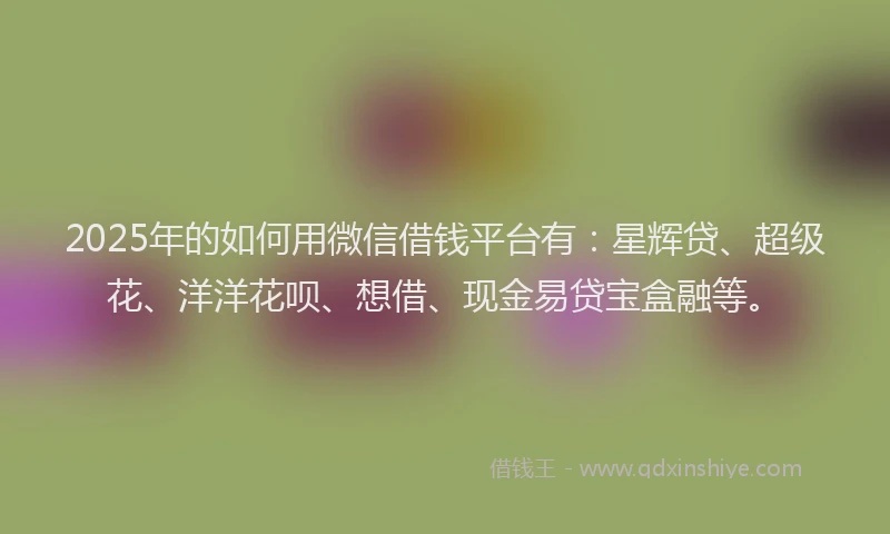 2025年的如何用微信借钱平台有：星辉贷、超级花、洋洋花呗、想借、现金易贷宝盒融等。