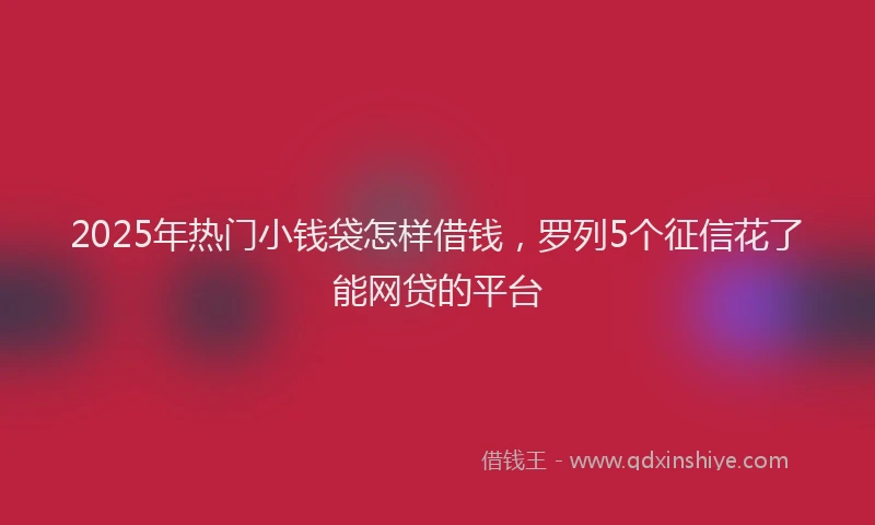 2025年热门小钱袋怎样借钱，罗列5个征信花了能网贷的平台
