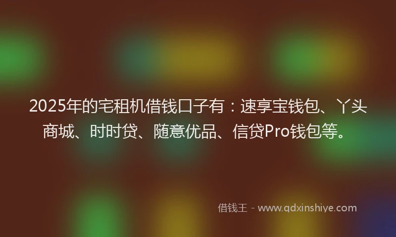 2025年的宅租机借钱口子有：速享宝钱包、丫头商城、时时贷、随意优品、信贷Pro钱包等。