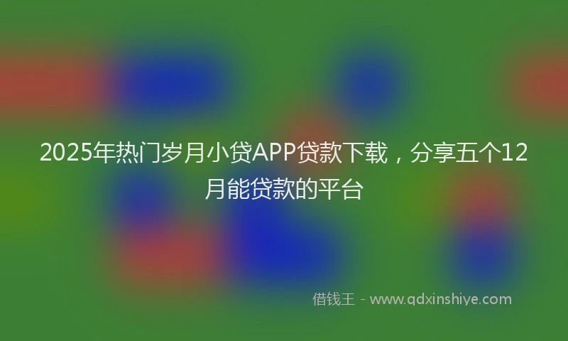 2025年热门岁月小贷APP贷款下载，分享五个12月能贷款的平台