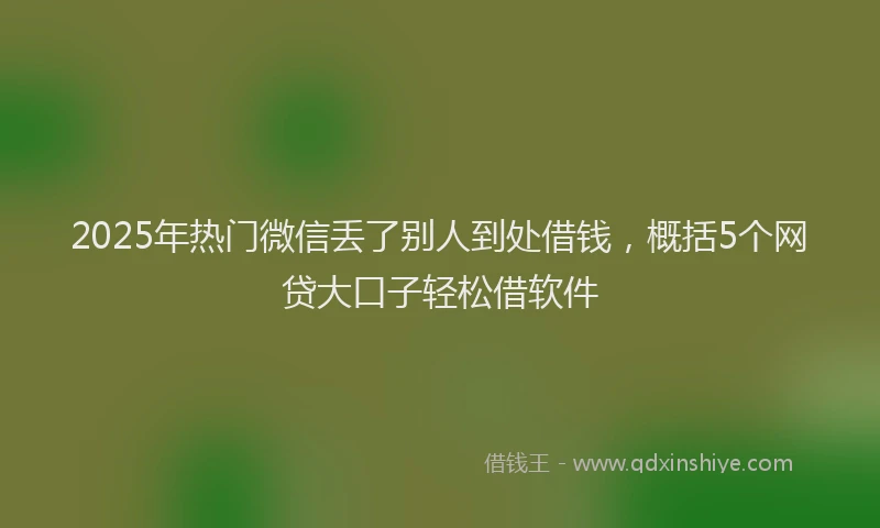 2025年热门微信丢了别人到处借钱，概括5个网贷大口子轻松借软件