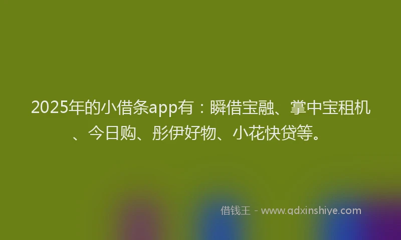2025年的小借条app有：瞬借宝融、掌中宝租机、今日购、彤伊好物、小花快贷等。