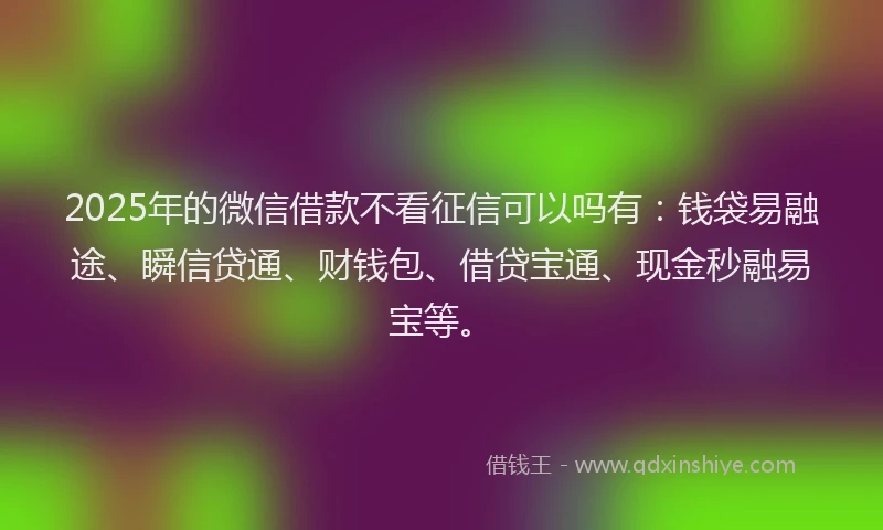 2025年的微信借款不看征信可以吗有：钱袋易融途、瞬信贷通、财钱包、借贷宝通、现金秒融易宝等。