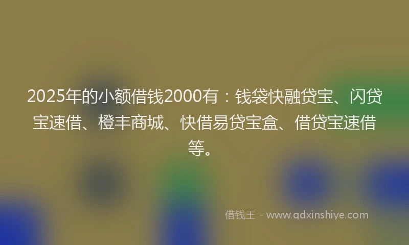 2025年的小额借钱2000有：钱袋快融贷宝、闪贷宝速借、橙丰商城、快借易贷宝盒、借贷宝速借等。