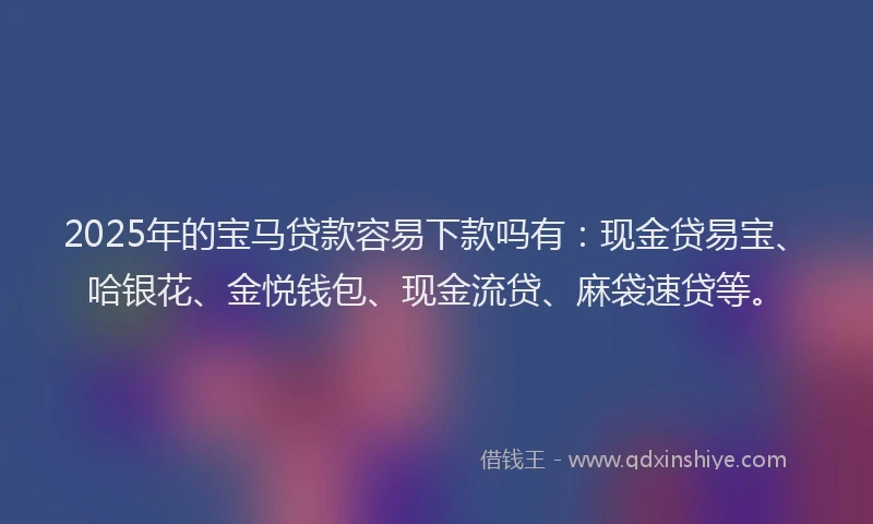 2025年的宝马贷款容易下款吗有：现金贷易宝、哈银花、金悦钱包、现金流贷、麻袋速贷等。