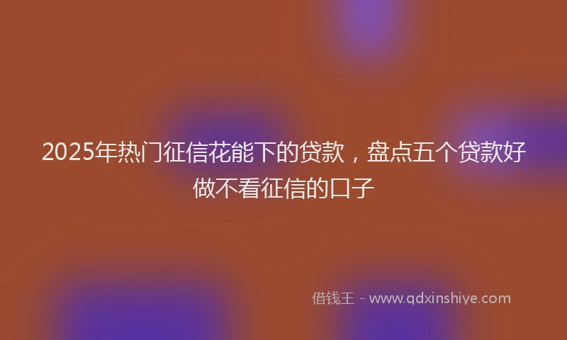 2025年热门征信花能下的贷款，盘点五个贷款好做不看征信的口子