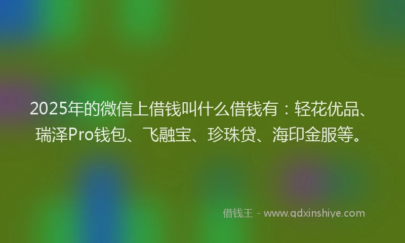 2025年的微信上借钱叫什么借钱有：轻花优品、瑞泽Pro钱包、飞融宝、珍珠贷、海印金服等。