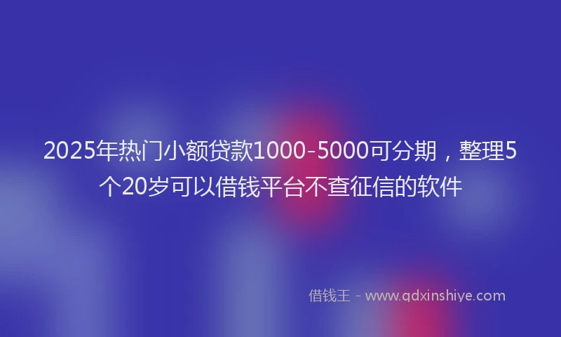 2025年热门小额贷款1000-5000可分期，整理5个20岁可以借钱平台不查征信的软件