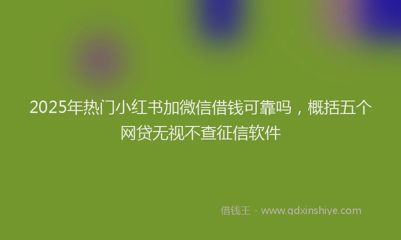 2025年热门小红书加微信借钱可靠吗，概括五个网贷无视不查征信软件