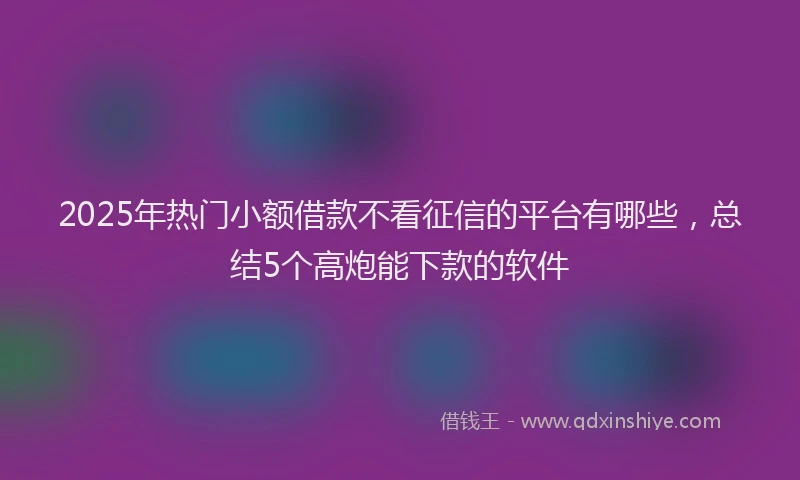 2025年热门小额借款不看征信的平台有哪些，总结5个高炮能下款的软件