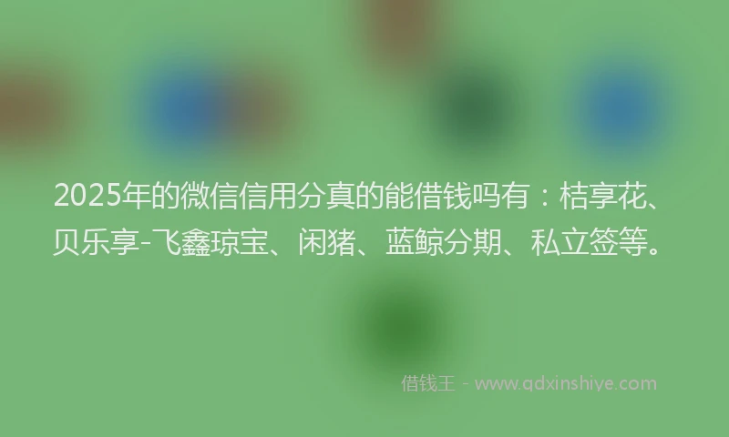 2025年的微信信用分真的能借钱吗有：桔享花、贝乐享-飞鑫琼宝、闲猪、蓝鲸分期、私立签等。