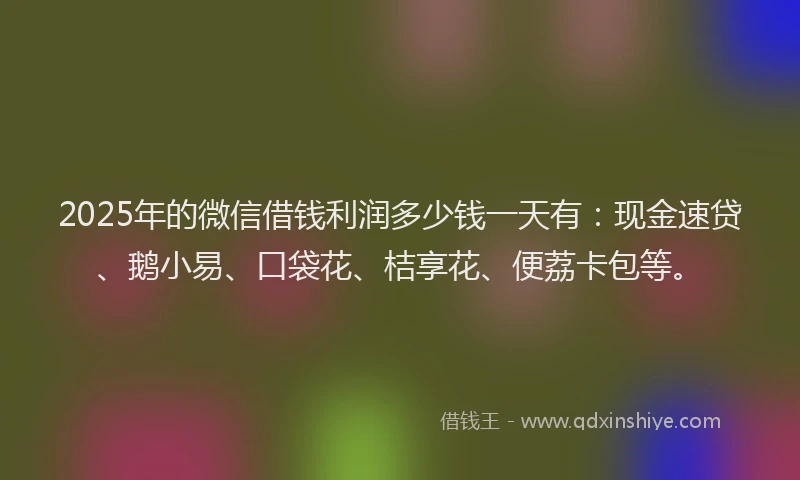 2025年的微信借钱利润多少钱一天有：现金速贷、鹅小易、口袋花、桔享花、便荔卡包等。