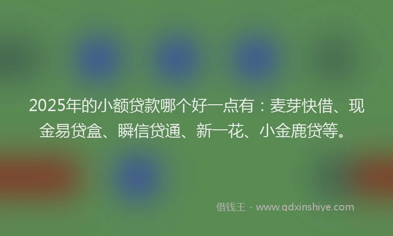 2025年的小额贷款哪个好一点有：麦芽快借、现金易贷盒、瞬信贷通、新一花、小金鹿贷等。
