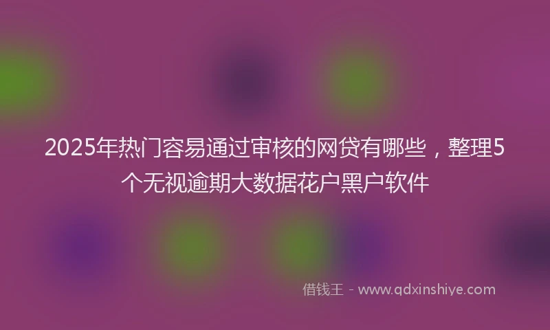 2025年热门容易通过审核的网贷有哪些，整理5个无视逾期大数据花户黑户软件