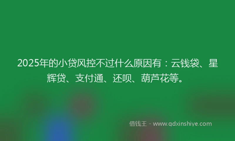 2025年的小贷风控不过什么原因有：云钱袋、星辉贷、支付通、还呗、葫芦花等。