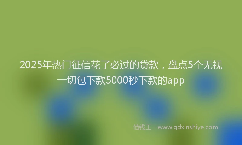 2025年热门征信花了必过的贷款，盘点5个无视一切包下款5000秒下款的app