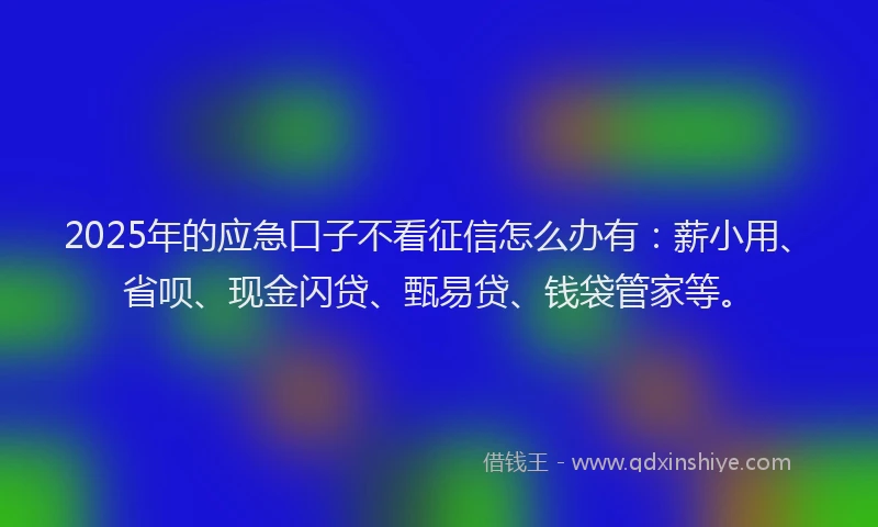 2025年的应急口子不看征信怎么办有：薪小用、省呗、现金闪贷、甄易贷、钱袋管家等。