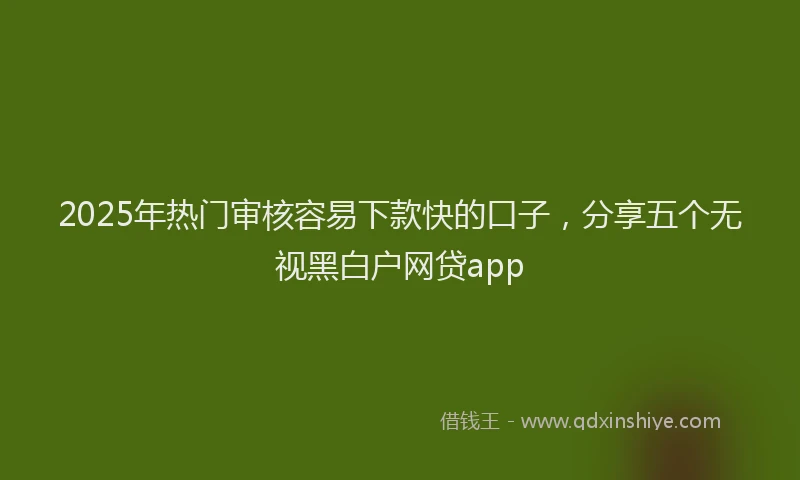2025年热门审核容易下款快的口子，分享五个无视黑白户网贷app