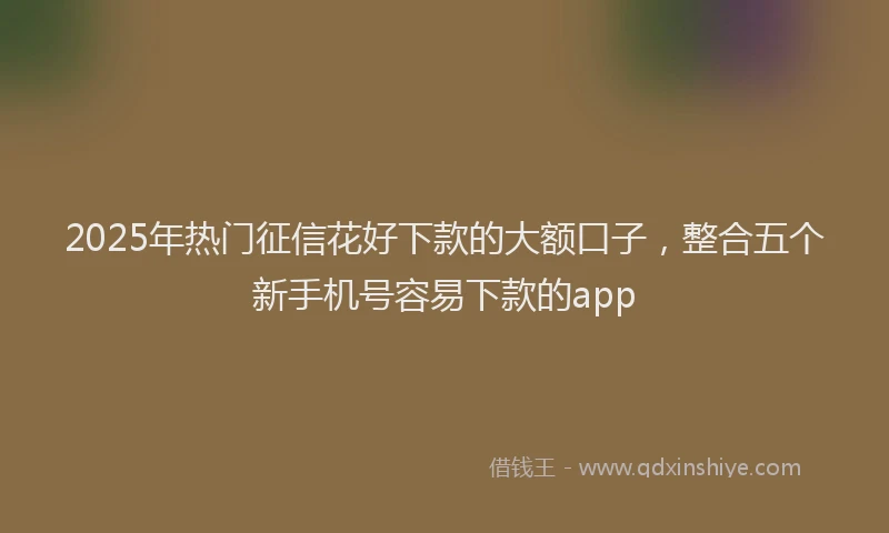2025年热门征信花好下款的大额口子，整合五个新手机号容易下款的app