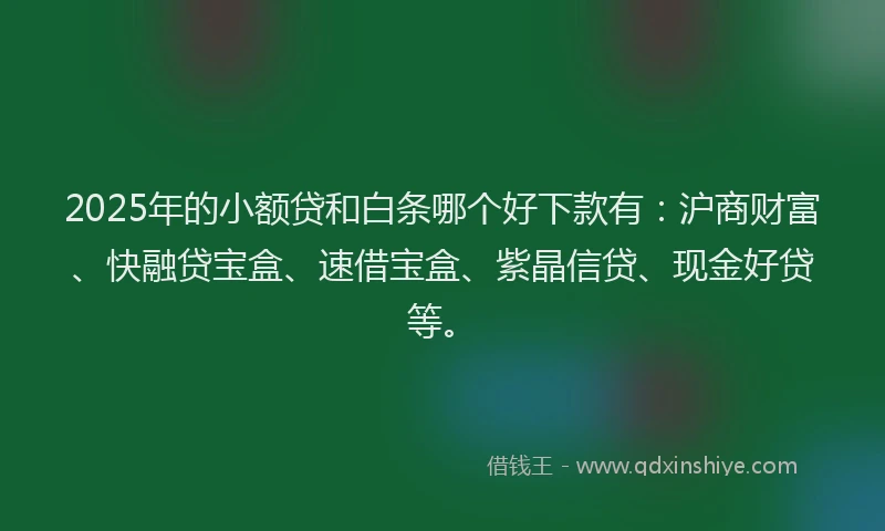 2025年的小额贷和白条哪个好下款有：沪商财富、快融贷宝盒、速借宝盒、紫晶信贷、现金好贷等。