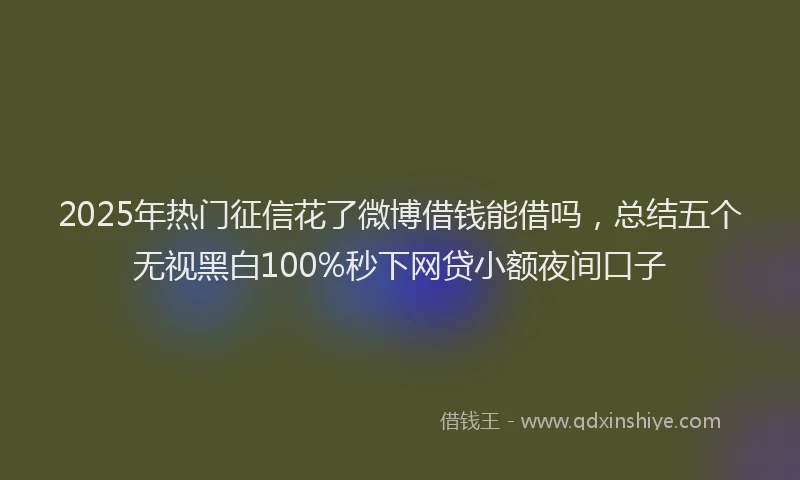 2025年热门征信花了微博借钱能借吗，总结五个无视黑白100%秒下网贷小额夜间口子