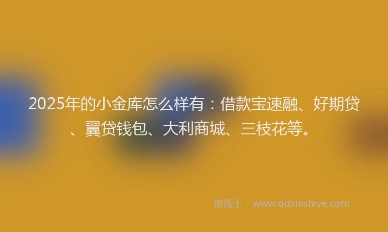 2025年的小金库怎么样有：借款宝速融、好期贷、翼贷钱包、大利商城、三枝花等。