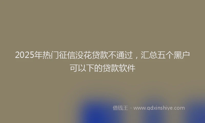 2025年热门征信没花贷款不通过，汇总五个黑户可以下的贷款软件
