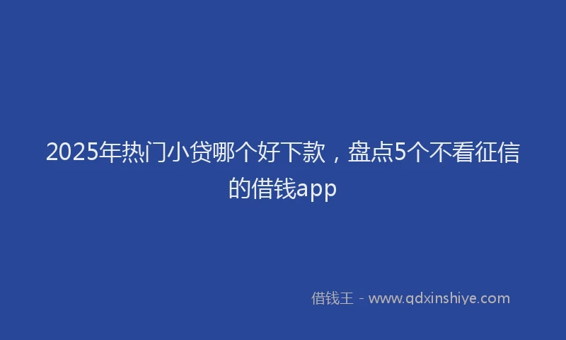 2025年热门小贷哪个好下款，盘点5个不看征信的借钱app