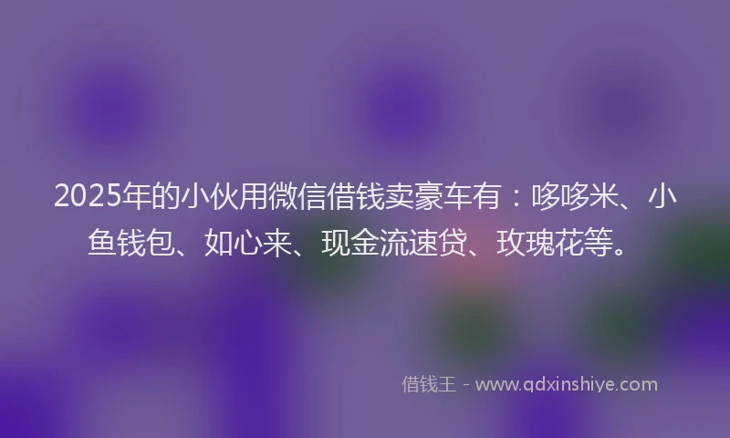 2025年的小伙用微信借钱卖豪车有：哆哆米、小鱼钱包、如心来、现金流速贷、玫瑰花等。