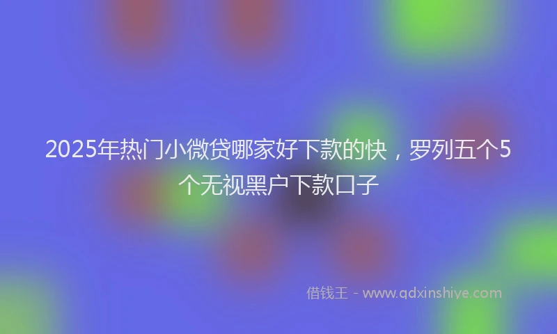 2025年热门小微贷哪家好下款的快，罗列五个5个无视黑户下款口子