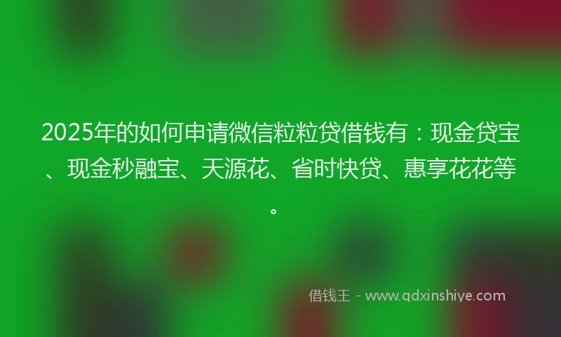 2025年的如何申请微信粒粒贷借钱有：现金贷宝、现金秒融宝、天源花、省时快贷、惠享花花等。