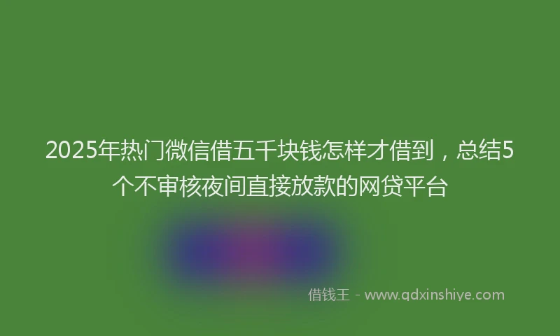 2025年热门微信借五千块钱怎样才借到，总结5个不审核夜间直接放款的网贷平台