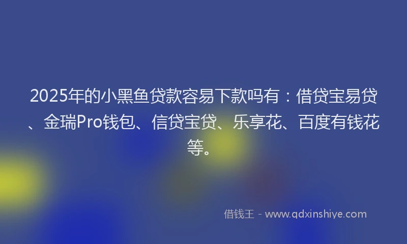 2025年的小黑鱼贷款容易下款吗有：借贷宝易贷、金瑞Pro钱包、信贷宝贷、乐享花、百度有钱花等。