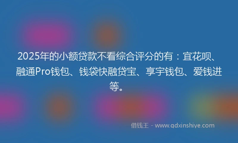 2025年的小额贷款不看综合评分的有：宜花呗、融通Pro钱包、钱袋快融贷宝、享宇钱包、爱钱进等。