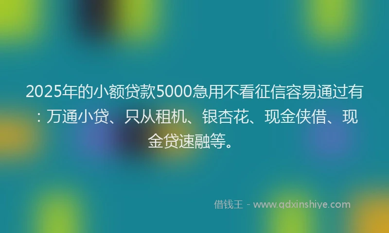2025年的小额贷款5000急用不看征信容易通过有：万通小贷、只从租机、银杏花、现金侠借、现金贷速融等。