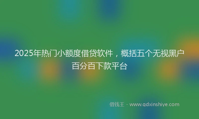 2025年热门小额度借贷软件，概括五个无视黑户百分百下款平台