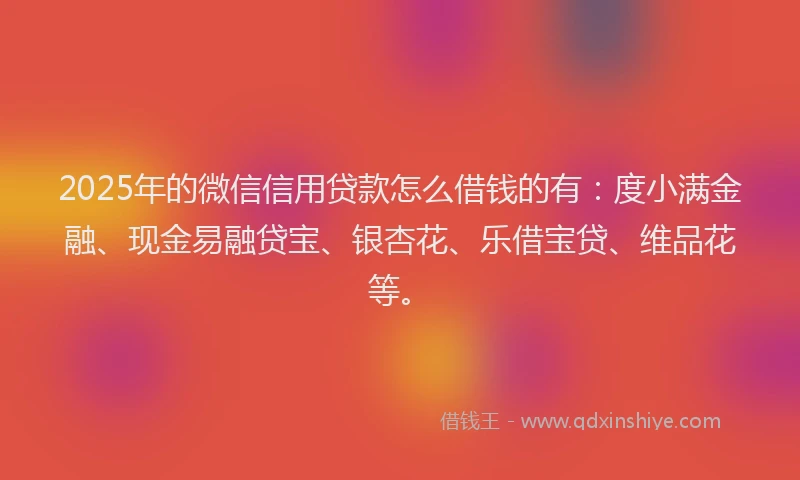 2025年的微信信用贷款怎么借钱的有：度小满金融、现金易融贷宝、银杏花、乐借宝贷、维品花等。