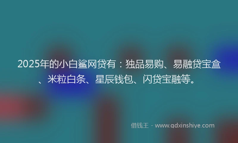 2025年的小白鲨网贷有：独品易购、易融贷宝盒、米粒白条、星辰钱包、闪贷宝融等。