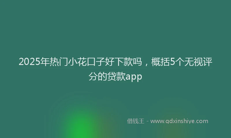 2025年热门小花口子好下款吗，概括5个无视评分的贷款app