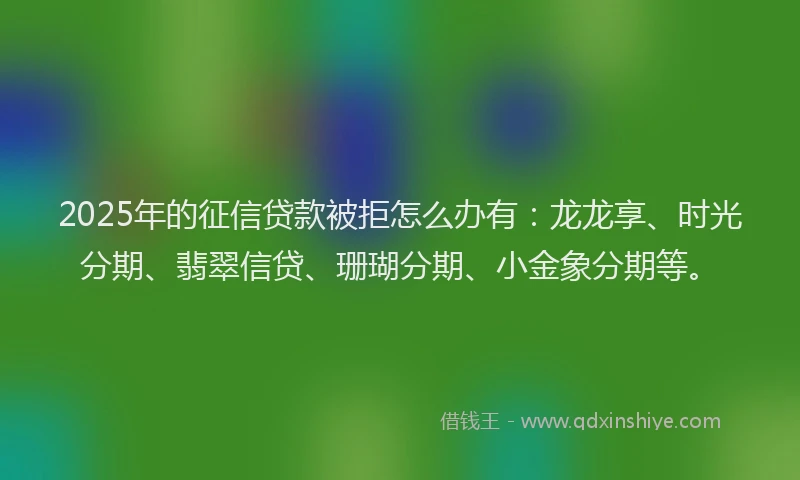 2025年的征信贷款被拒怎么办有：龙龙享、时光分期、翡翠信贷、珊瑚分期、小金象分期等。
