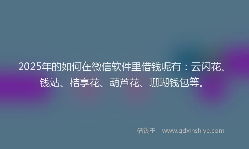 2025年的如何在微信软件里借钱呢有：云闪花、钱站、桔享花、葫芦花、珊瑚钱包等。