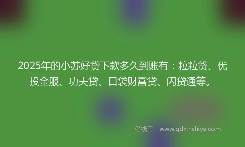 2025年的小苏好贷下款多久到账有：粒粒贷、优投金服、功夫贷、口袋财富贷、闪贷通等。