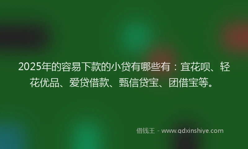 2025年的容易下款的小贷有哪些有：宜花呗、轻花优品、爱贷借款、甄信贷宝、团借宝等。
