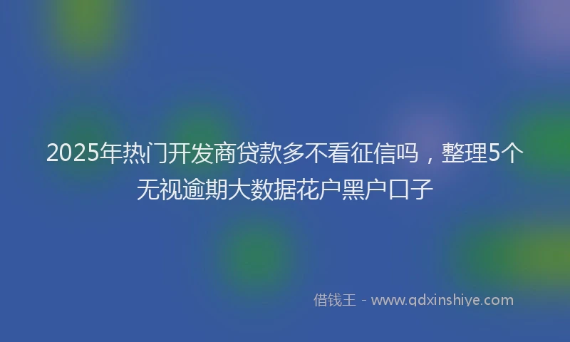 2025年热门开发商贷款多不看征信吗，整理5个无视逾期大数据花户黑户口子