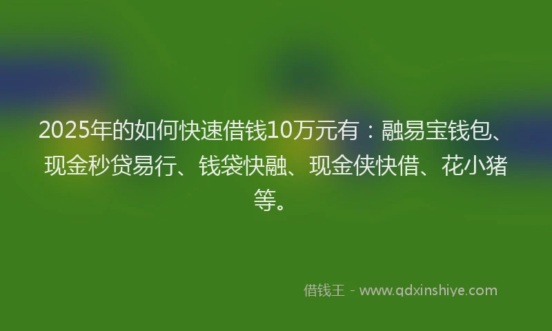 2025年的如何快速借钱10万元有：融易宝钱包、现金秒贷易行、钱袋快融、现金侠快借、花小猪等。