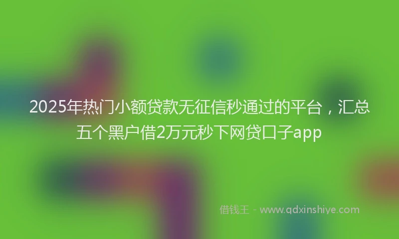 2025年热门小额贷款无征信秒通过的平台，汇总五个黑户借2万元秒下网贷口子app