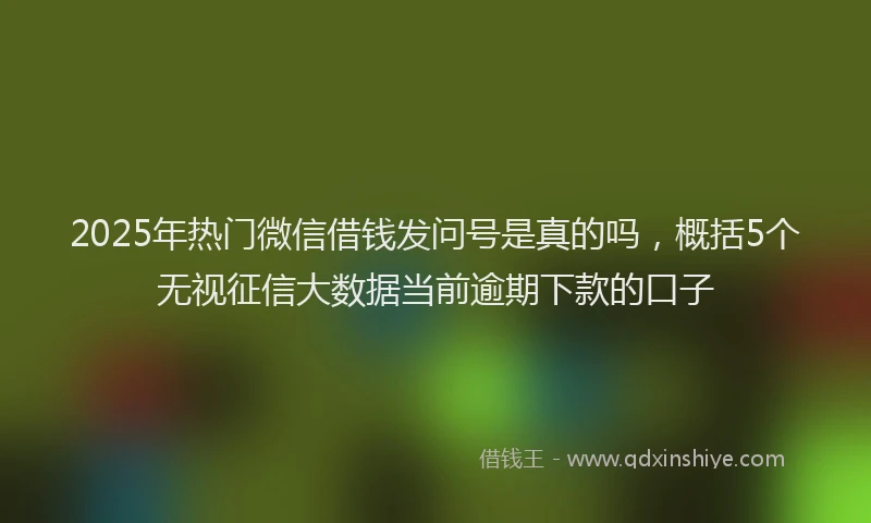 2025年热门微信借钱发问号是真的吗，概括5个无视征信大数据当前逾期下款的口子