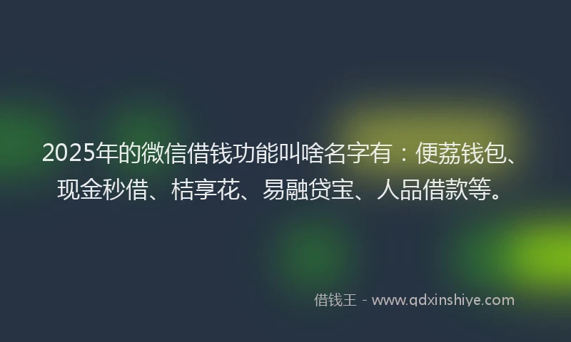2025年的微信借钱功能叫啥名字有：便荔钱包、现金秒借、桔享花、易融贷宝、人品借款等。